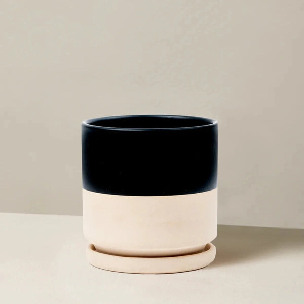 Isabella Planter