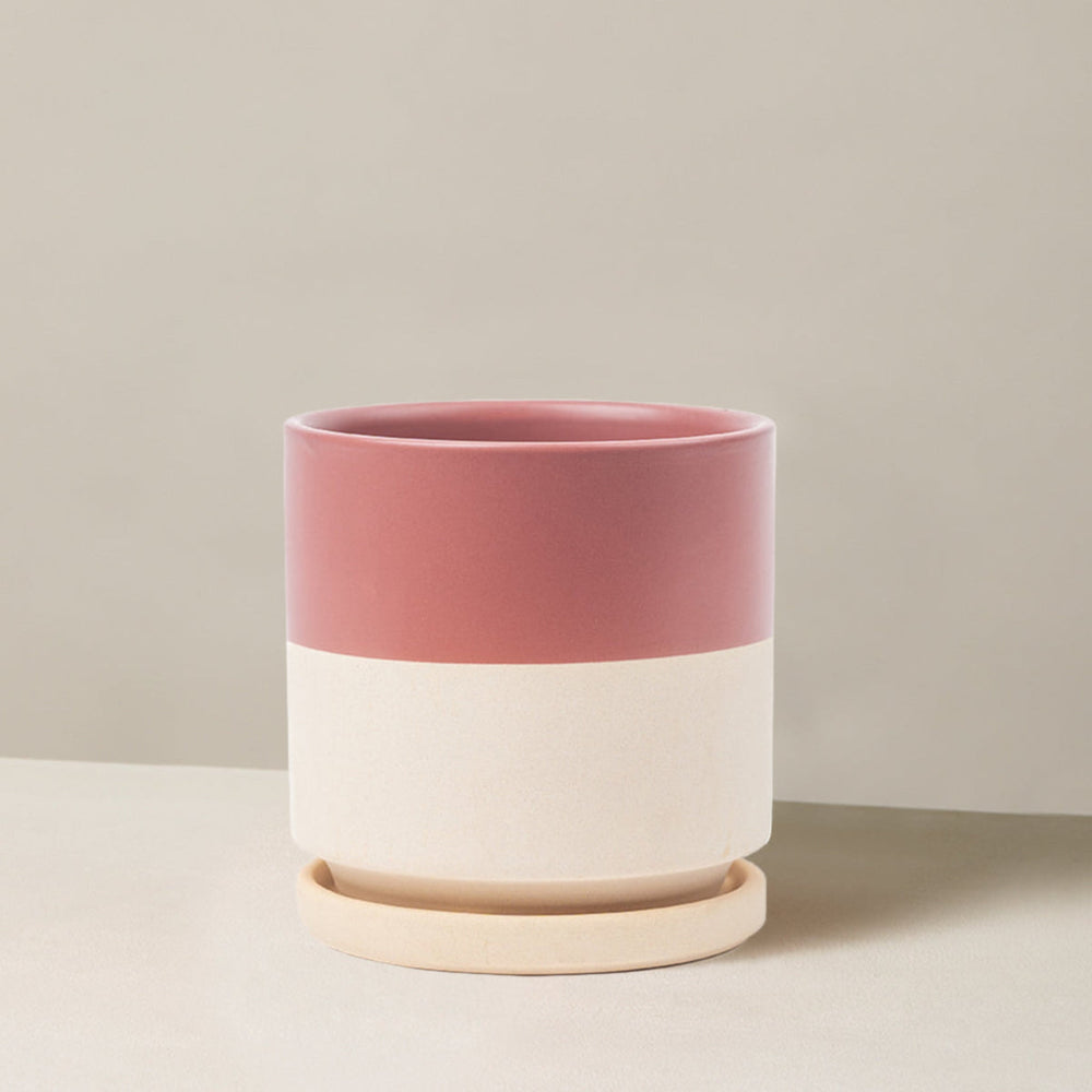 Isabella Planter