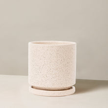 Isabella Planter